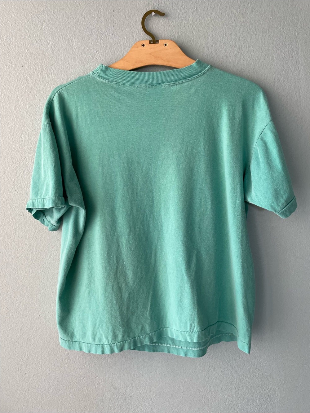 🌱5/$25🌱 Sun Sportswear | Vintage 80s 90s Distressed Weekend Animal Teal Tee - Picture 2 of 8